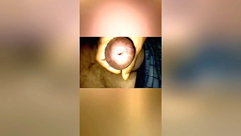 Indian girl gets her pussy penetrated in various positions