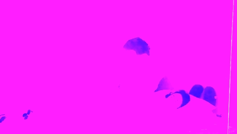 Amateur brunette in black tie shows her friends clothes