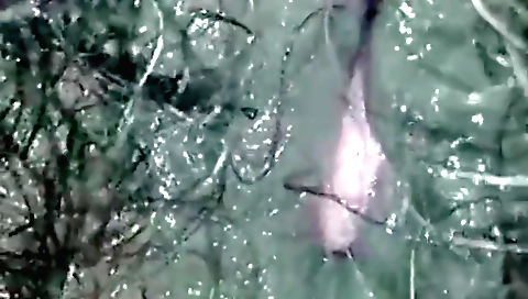 Indian teen fingered in amateur fetish masturbation video